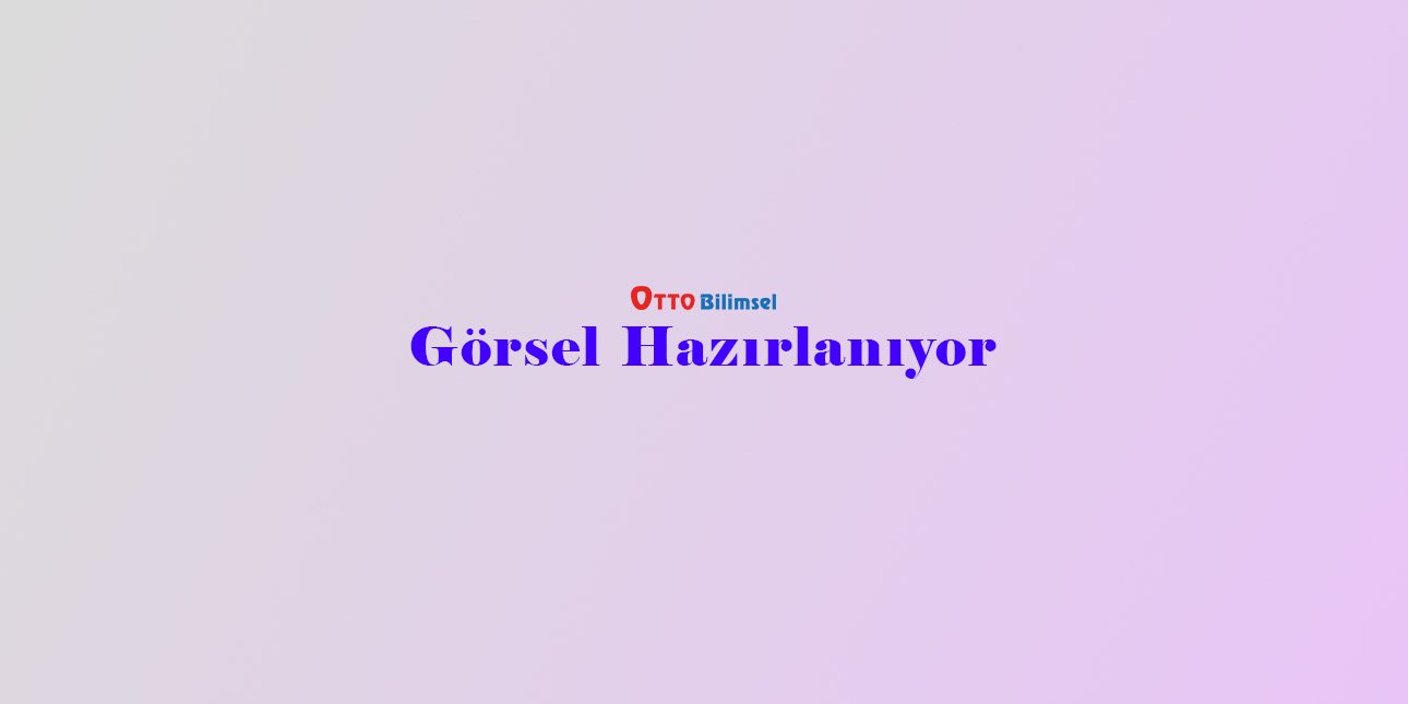 Otto Bilimsel hizmet görseli