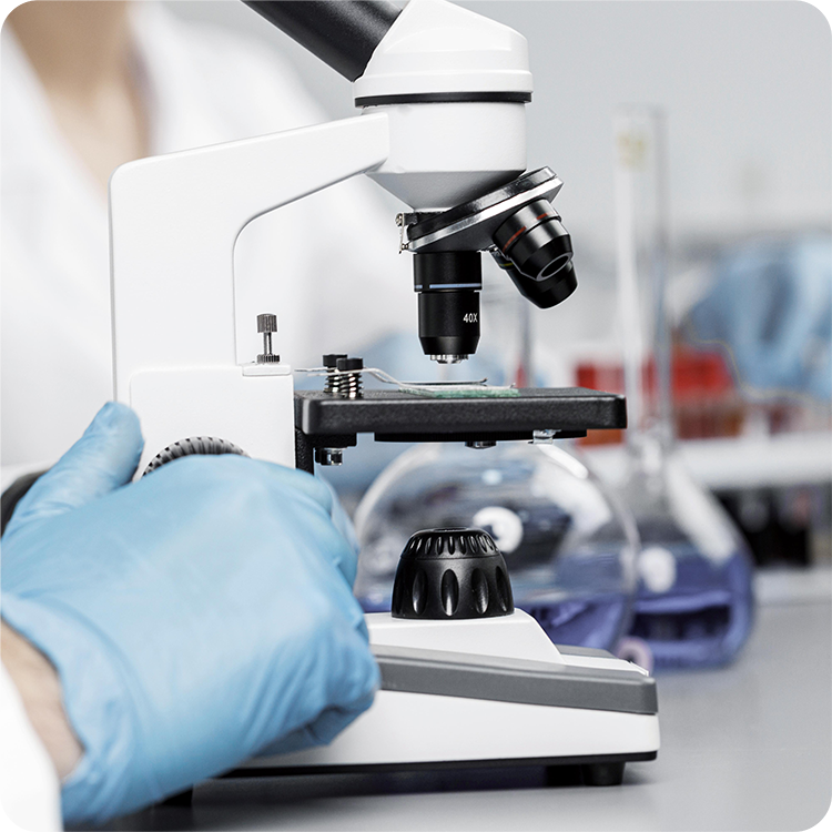 Otto Bilimsel hizmet menüsünün ilüstrasyonu